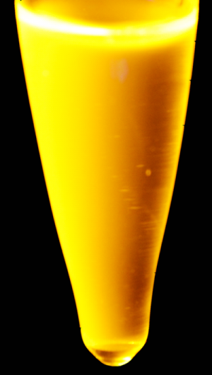 Scientists Uncover Orange Mn-Doped Quantum Dots with Rich Color Palette