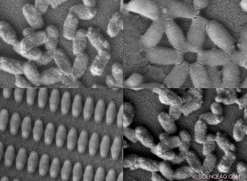 Custom-Crafted Nanoparticles: MIT s Precision Coating Technology