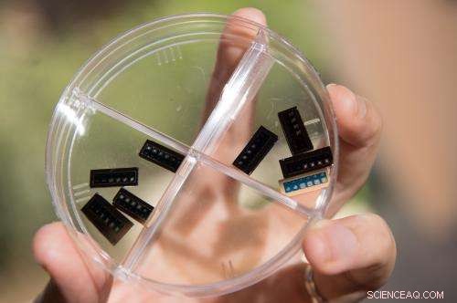 Rice University Breaks Barrier with Silicon Oxide Memory Technology