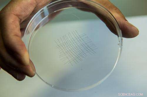 Strong Knotting in Carbon Fiber: New Graphene Oxide Flakes Material Enhances Durability