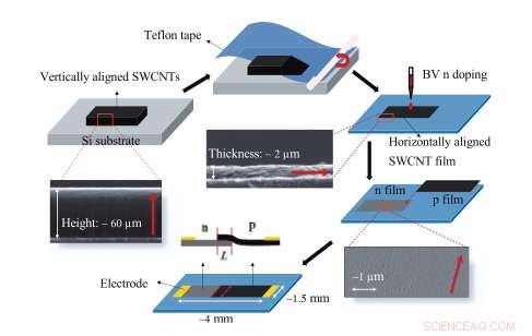 Rice University Team Employs Aligned Carbon Nanotube Carpets for Enhanced Polarized Light Detection