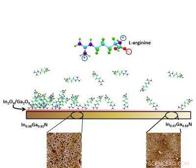 Scientists Develop Novel Gradient Technique to Elucidate Molecular Interactions