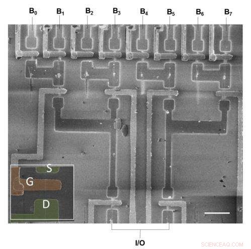 Controlled Nanowire Growth Drives Self-Integrated Circuit Development