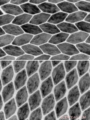 Breakthrough: Nanocrystals Enable Programmable Matter Advancements