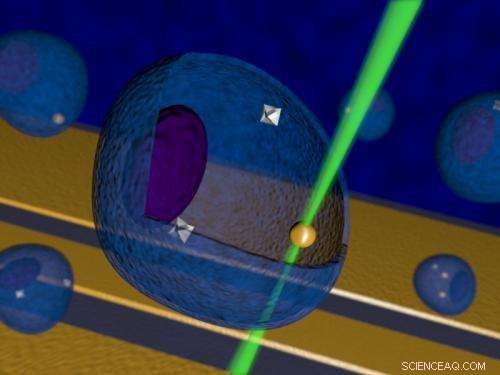 Scientists Innovate Nanodiamond Thermometer for Precise Cellular Temperature Measurement
