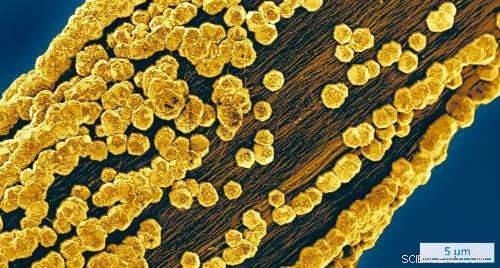 Ultra-Thin Carbon Nanotube Diamond Saws: Cutting Edge Wafer Production