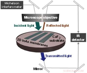 Groundbreaking Universal Law Unveiled for Light Absorption in 2D Semiconductors
