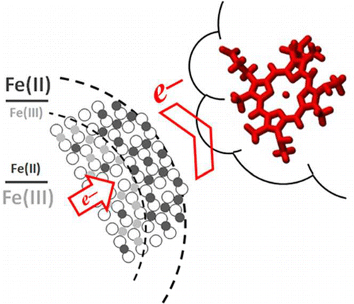New Study Reveals Quantitative Mechanism of Mineral-to-Microbe Electron Transfer
