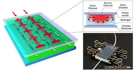 Regenerative Solar Cells Mimic Nature s Microfluidic Channels to Self-Heal