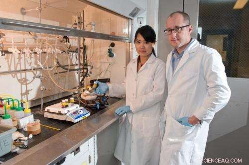 Innovative Alloy Nanomaterial Synthesis: Chemists Pioneer New Method