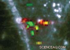 Advanced Raman Imaging: Pixel-by-Pixel Analysis for Precise Intracellular Molecular Detection
