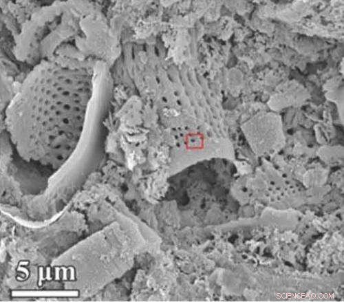 Salt: From Kitchen Staple to High-Tech Breakthrough