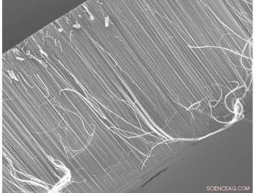 Plasma‑Treated Nanofilters Advance Global Water Purification