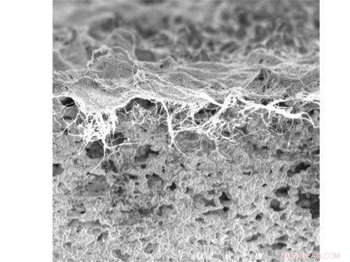 Plasma‑Treated Nanofilters Advance Global Water Purification