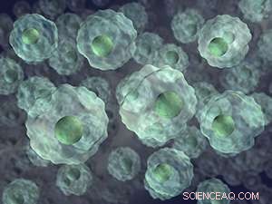 Fluorescent Organic Nanoparticles Outperform Existing Techniques for Long-Term Cell Tracking
