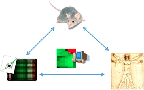 Advanced, Animal-Free Tests to Assess Nanomaterials  Health & Environmental Impact