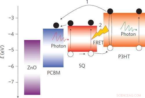 Advancing Polymer Solar Cells with Förster Resonance Energy Transfer