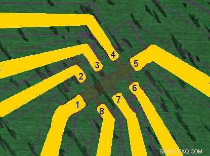 Fast & Reliable Graphene QC: The Express Tool