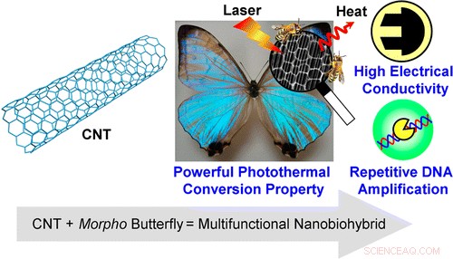 New Nanobiocomposite Combines Butterfly Wings and Carbon Nanotubes for Advanced Electronics