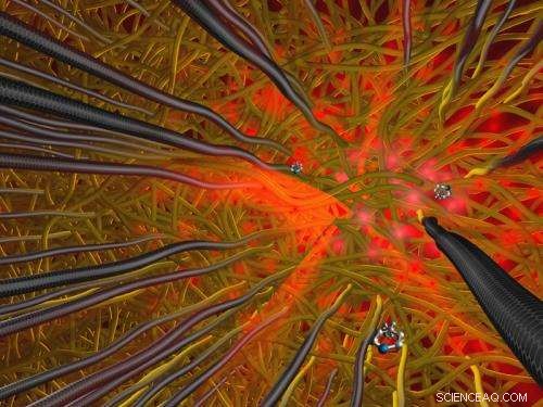 Advanced Carbon Nanotube Sensor Achieves Sensitivity Comparable to a Dog’s Nose in SERS Raman Spectroscopy