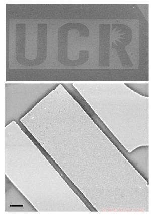 Pioneering Graphene Logic Circuits: A New Approach for Post‑Silicon Computing