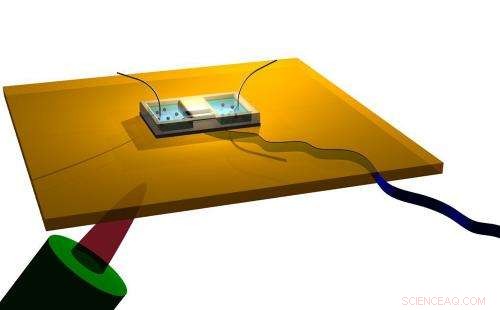 How Molecule Size Dictates Speed Through Nanotubes, Revealing Heat‑Driven Propulsion Dynamics