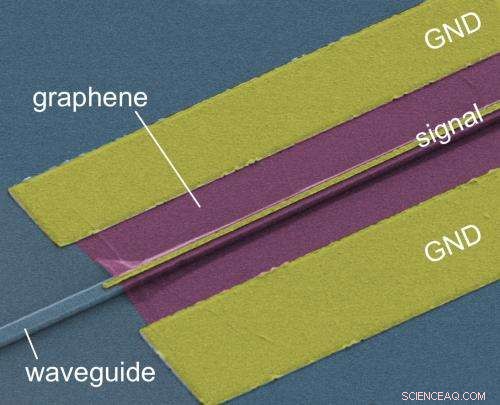 Graphene Enhances On‑Chip Light Detectors: A Photonics Breakthrough