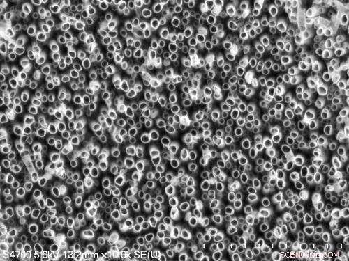 Revolutionary Nanotube Coating Accelerates Dental Implant Healing and Reduces Infections