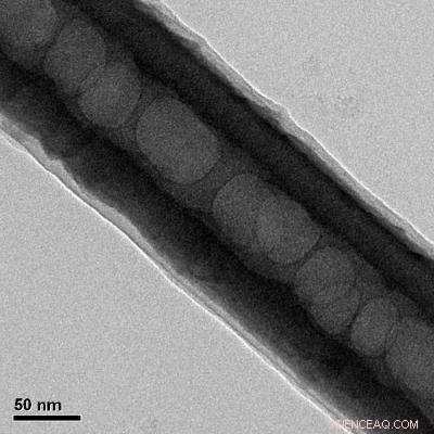 Revolutionary Nanotube Coating Accelerates Dental Implant Healing and Reduces Infections
