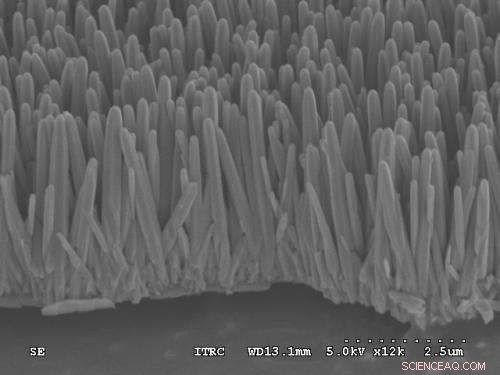 Using Spun CDs to Treat Sewage: An Innovative Clean‑Up Method