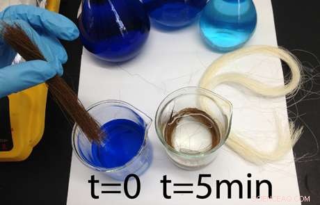 Modified Fique Fibers Cleanse Dye-Polluted Water in Just 5 Minutes