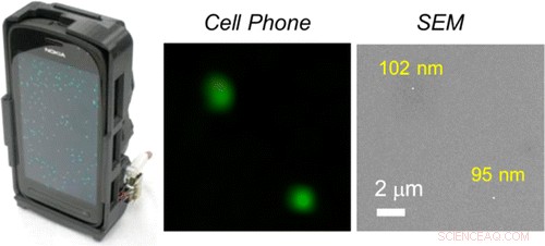 New Smartphone Microscope Enables Single‑Virus Detection in Remote Areas