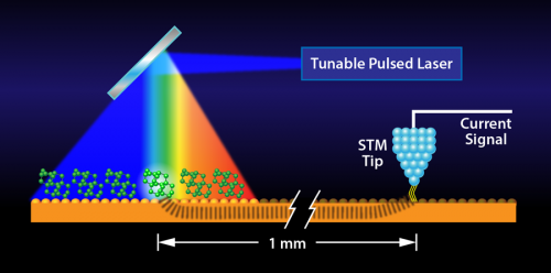 New Technique Merges Scanning Tunneling Microscopy with Infrared Spectroscopy for Molecular Insight