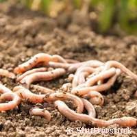 Nanoparticles Unveiled: Hidden Effects and Health Concerns