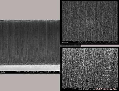 Why Carbon Nanotube Forests Exhibit Lower Stiffness: The Role of Waviness