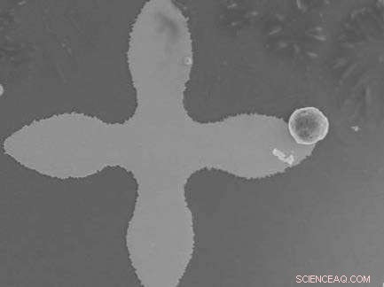 Liquid Biopsy: Advancing Cancer Diagnosis and Treatment