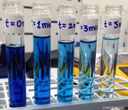 Andes Fique Fibers Offer Breakthrough in Textile Dye Remediation, Scientists Report