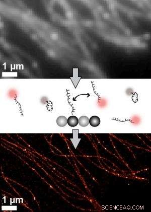 DNA Nanotechnology Paves the Way for Ultra-High-Resolution Molecular Imaging