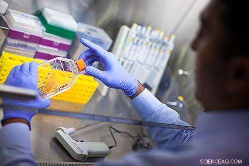 Targeted Nanotherapy: A Tiny, Time-Release Treatment for Cancer