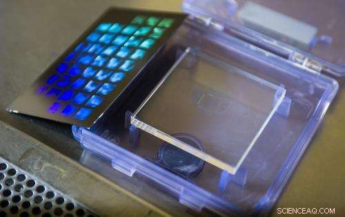 Cellular Preference for Nanodiscs Versus Nanorods: Insights from Recent Research