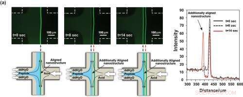 Innovative Microfluidic Technique Enables Directed Assembly of Functional Materials