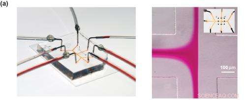 Innovative Microfluidic Technique Enables Directed Assembly of Functional Materials
