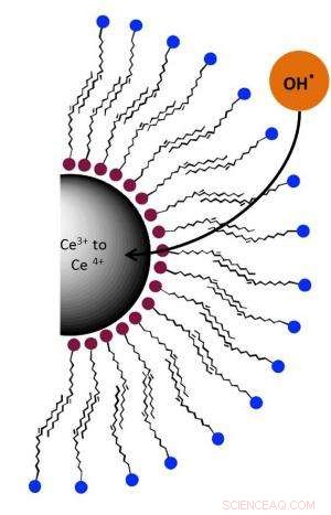 Scientists Develop Superantioxidant Using Cerium Oxide, Unlocking Nanochemistry for Medical Applications