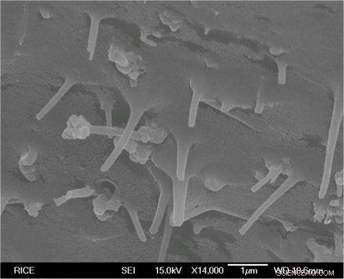 Innovative Graphene-Polymer Composite Could Revolutionize Vehicle Fuel Storage