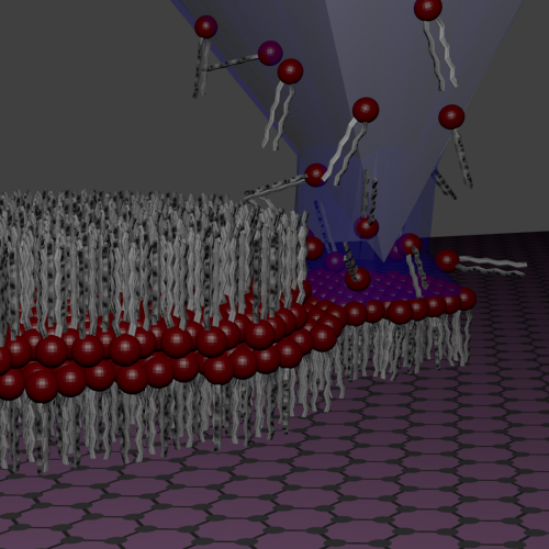 Precise Nano-Scale Writing of Artificial Cell Membranes on Graphene
