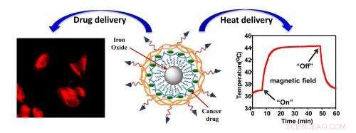 Nanotechnology‑Enhanced Heat Therapy Shows Promise for Ovarian Cancer Treatment