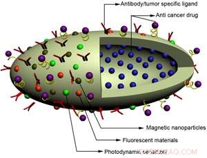 Revolutionary Nano-Carrier Enhances Targeted Drug Delivery to Cancer Cells