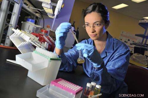 Enhanced Nanomaterials Database Empowers Consumers and Scientists to Track Product Safety