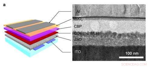 Advanced Nanoscale Engineering Enhances Quantum Dot LED Efficiency