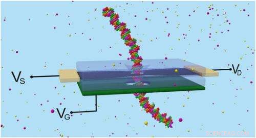 Graphene Quantum Transistor Enables Next-Gen DNA Detection via Ionic Nanopore Sensing